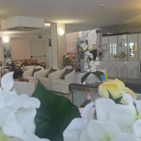 Hotel Bing Rimini